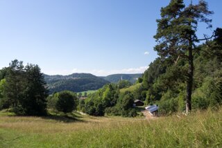 20130805_donautal_081