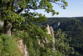 20130805_donautal_126