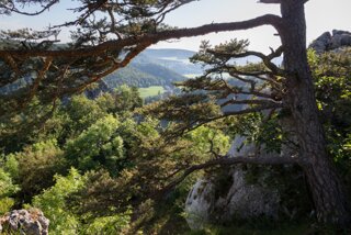 20130805_donautal_144