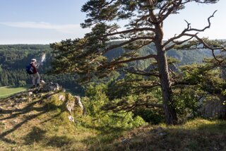 20130805_donautal_154