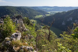 20130805_donautal_156