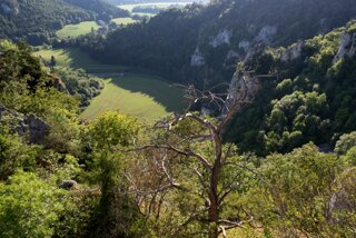 20130805_donautal_159