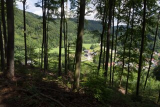 20130810_geislingen_067