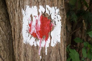 20130810_geislingen_071