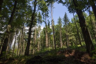 20130810_geislingen_079