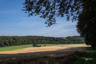 20130815_lohnetal_012