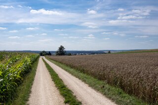 20130815_lohnetal_051