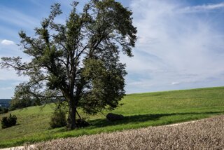 20130815_lohnetal_052