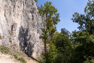 20130816_donautal_116