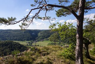 20130816_donautal_157