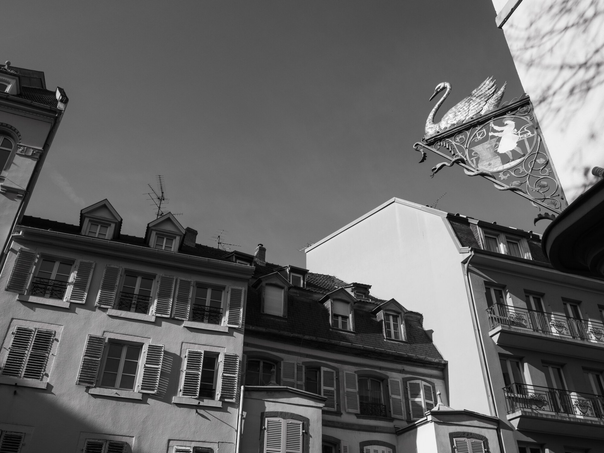 P1026739 