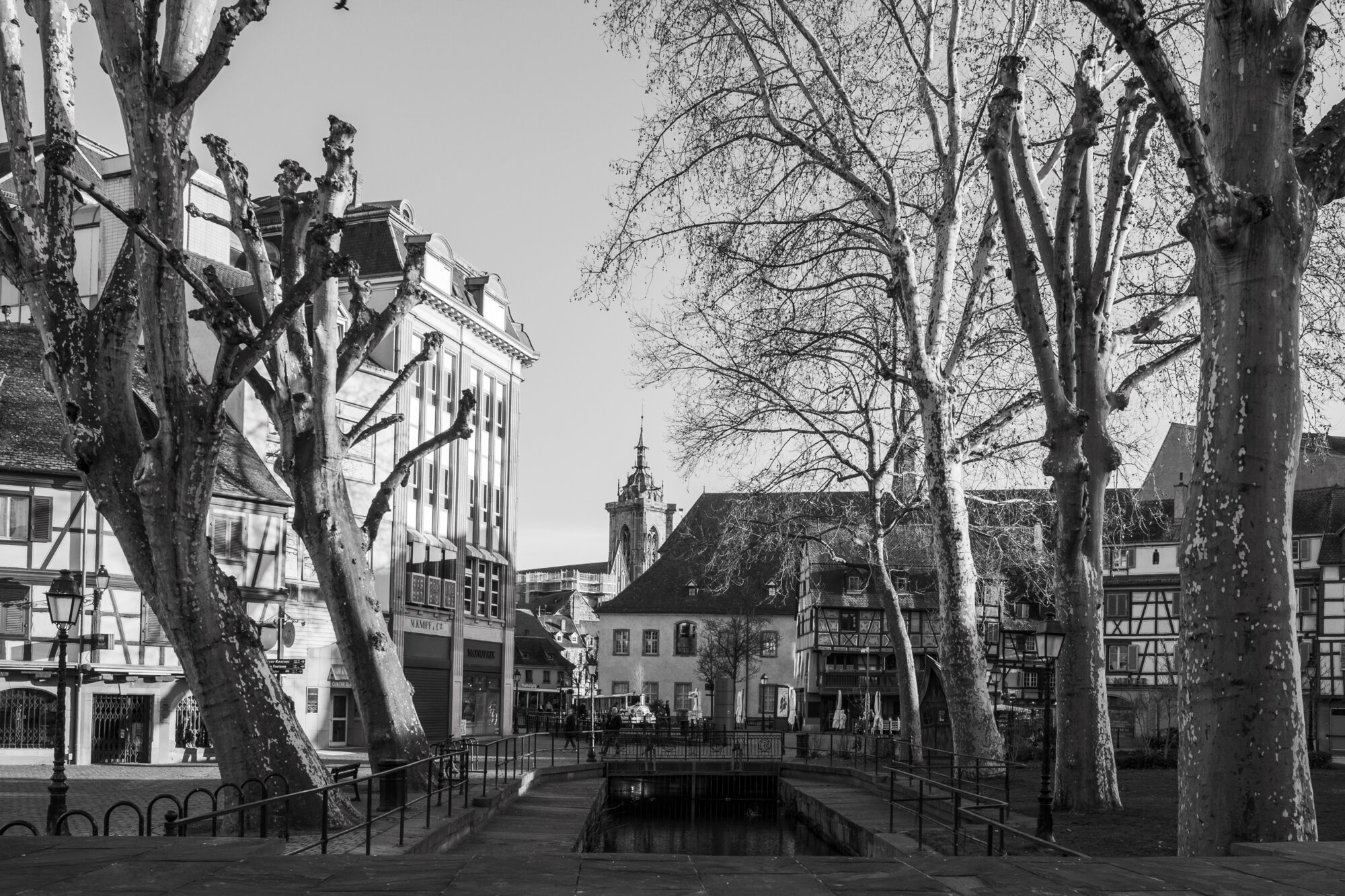 P1026826 
