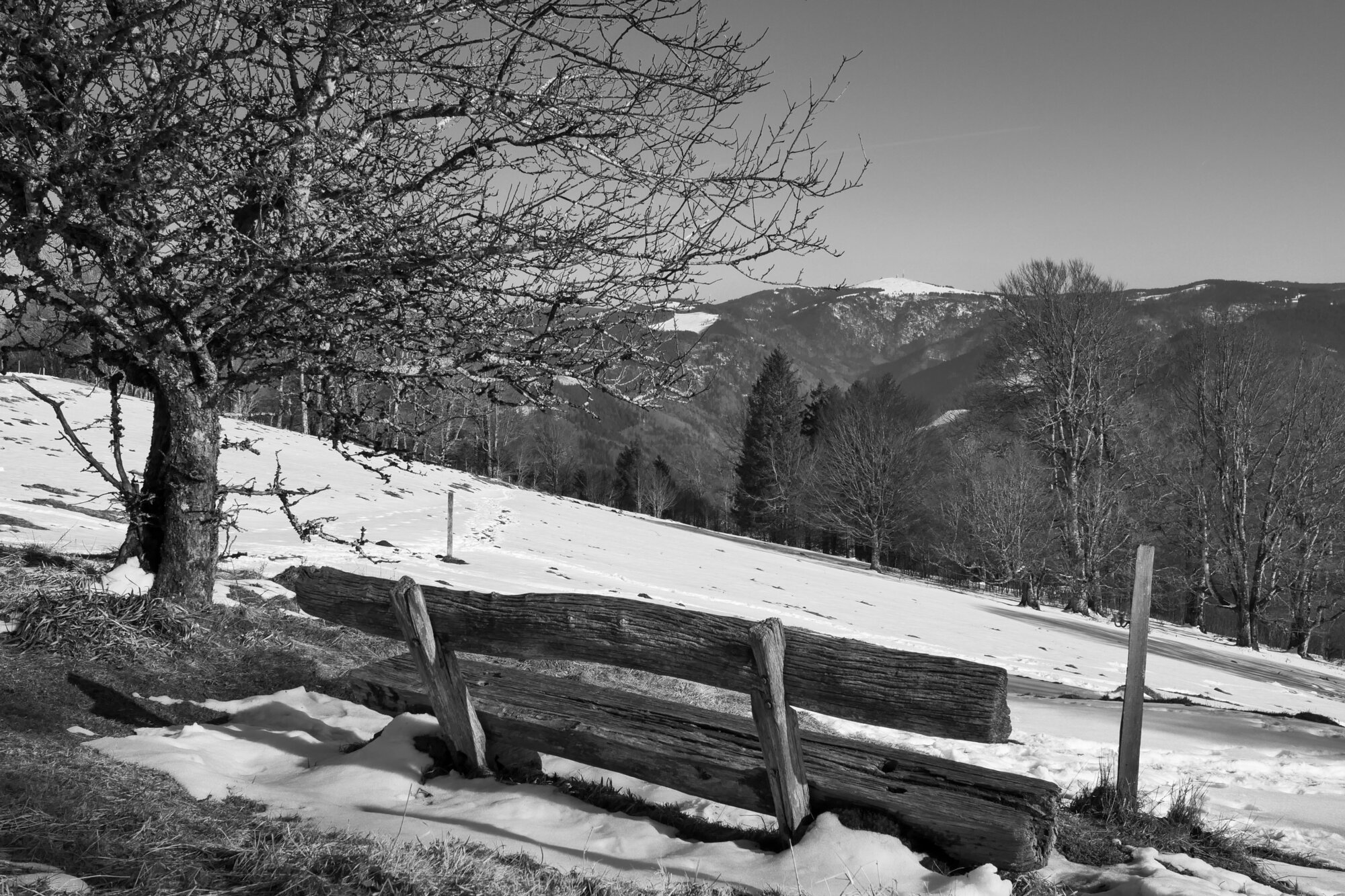 P1026882 