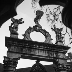 2025-03-02_b__Colmar