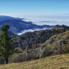 2024_Herbst