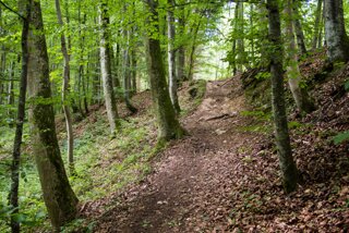 20130731_rusenschloss_031