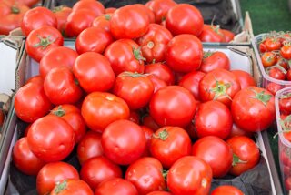 20130807_ulm_wochenmarkt_006