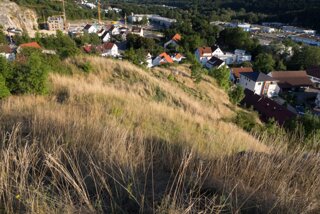 20130815_loewenfels_007