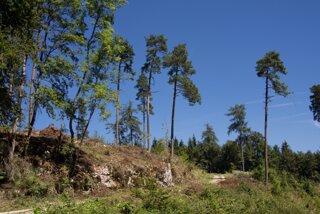 20130816_donautal_105