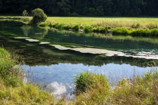 20130817_eselsburgertal_012