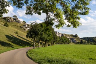 20130817_eselsburgertal_031