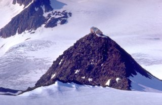 dias50