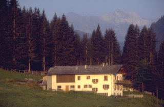 dias54