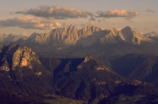 dias85