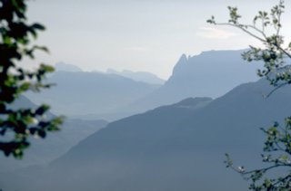 dias89
