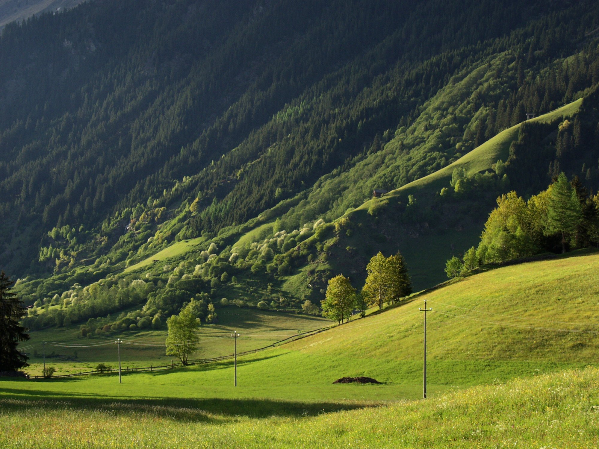 suedtirol25 