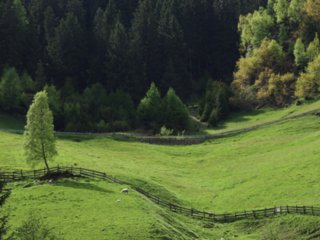 suedtirol02