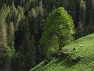 suedtirol03