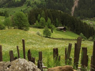suedtirol19