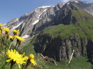 suedtirol45
