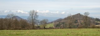 20230416_unbenannt_346-Verbessert-RR