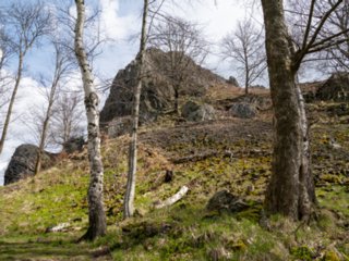 20230416_unbenannt_356