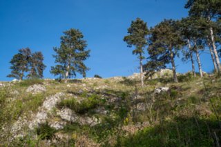 20240405_maehren_156