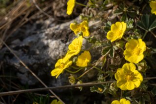 20240405_maehren_216