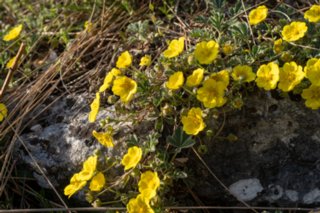 20240405_maehren_217