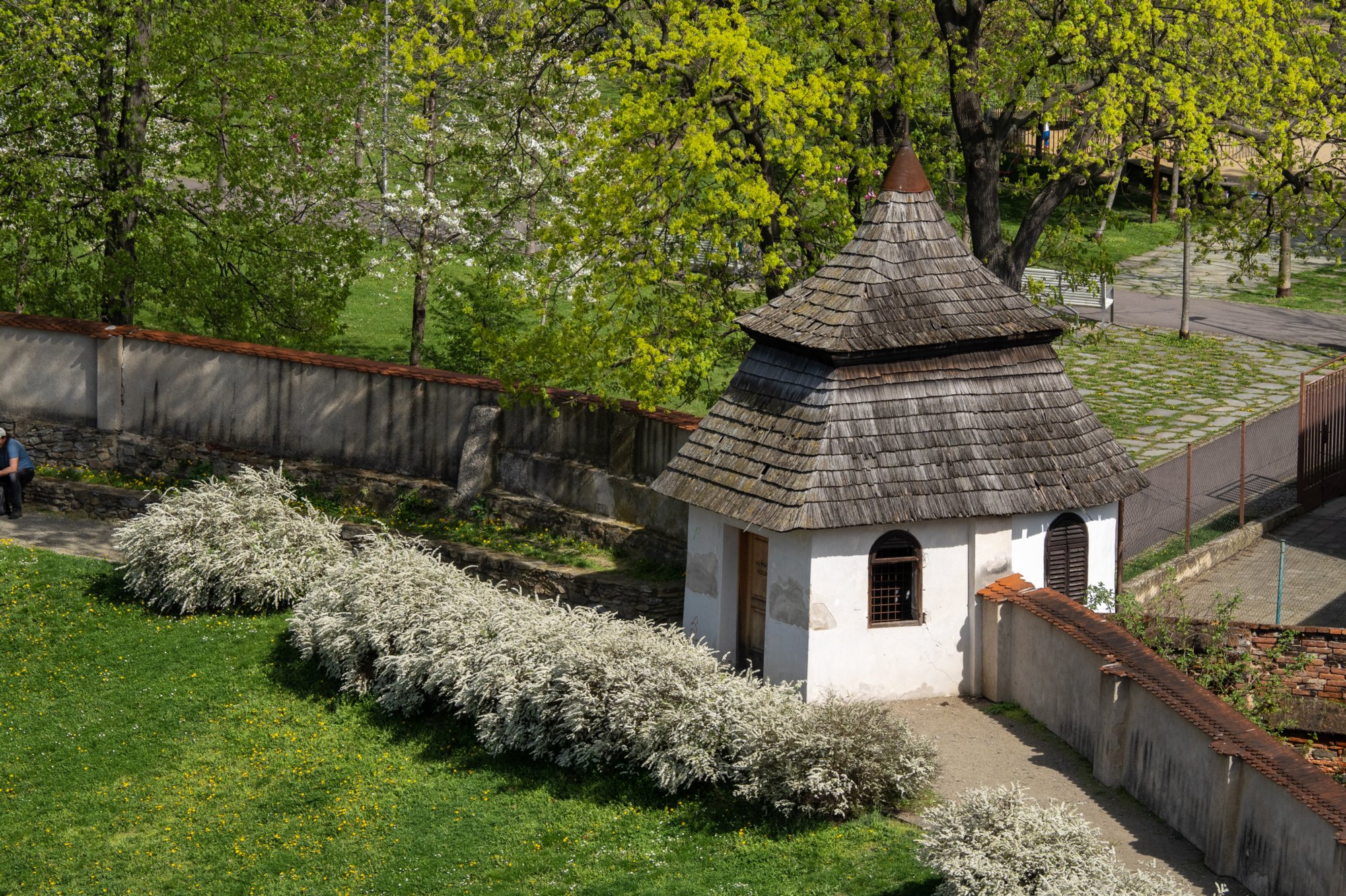 20240406_maehren_237 