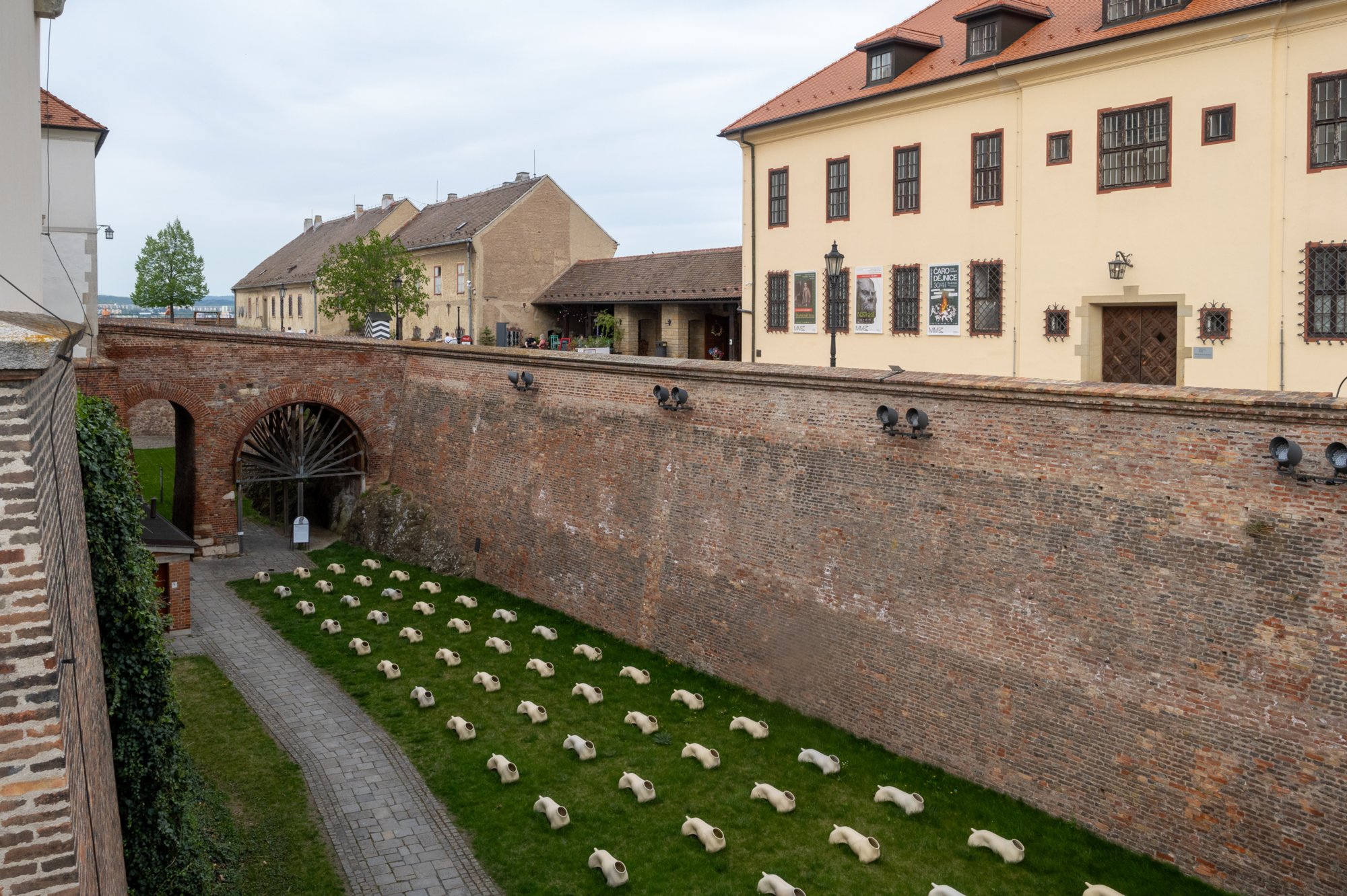 20240408_maehren_763 