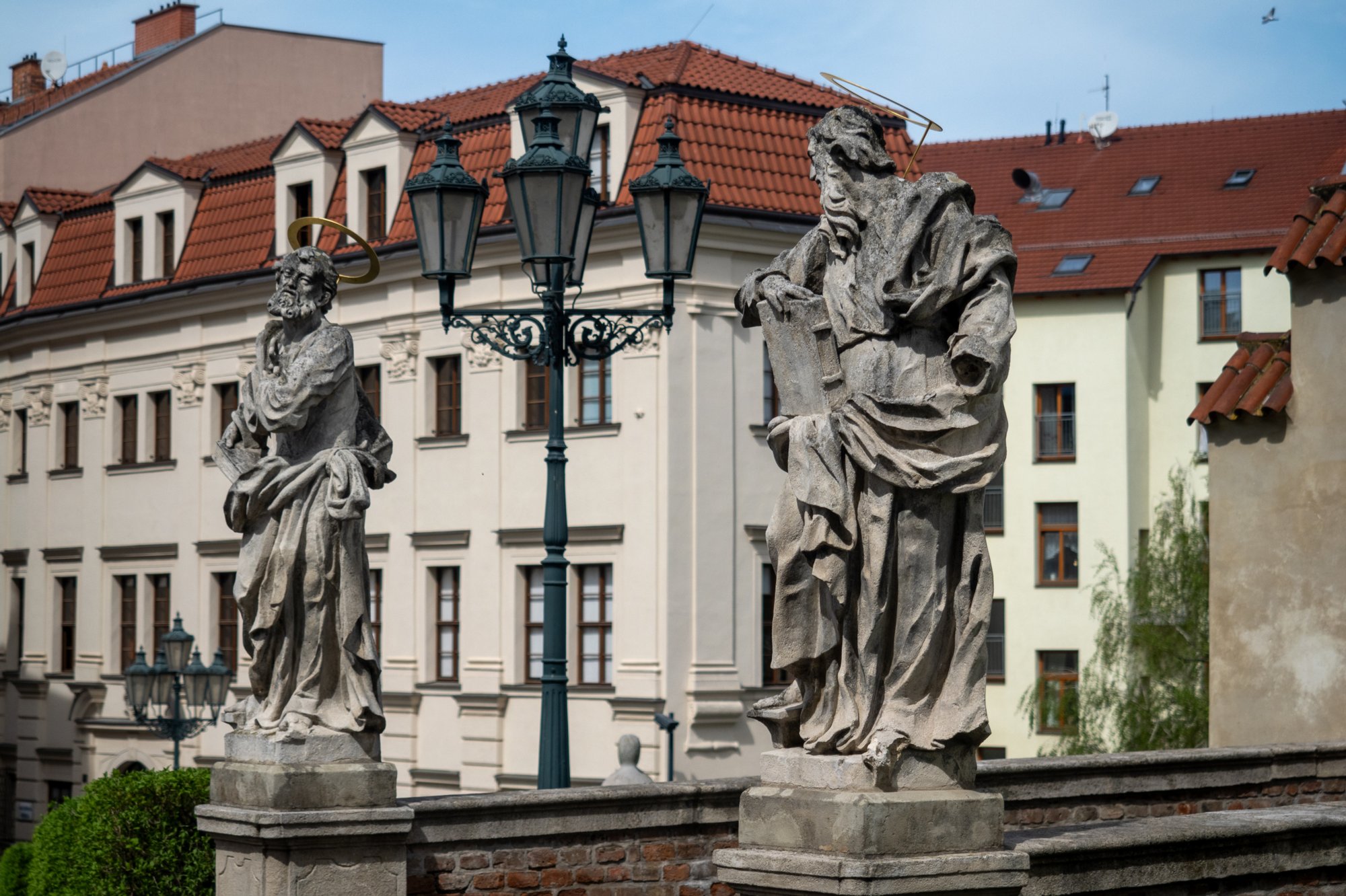 20240408_maehren_799 