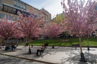 20240408_maehren_793