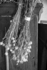 20250611_sudetenvorlandmuseum_179