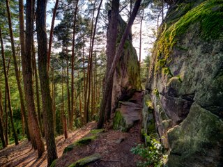 20210824_unbenannt_949_AuroraHDR-edit-Bearbeitet