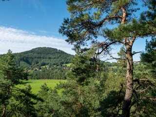 20210825_unbenannt_1467