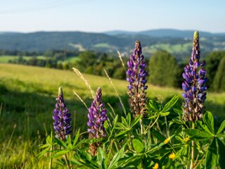 20210908_unbenannt_991