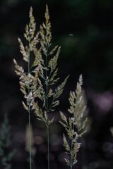 P1174363