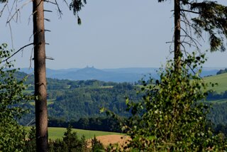 P1174383