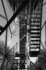 P1174605